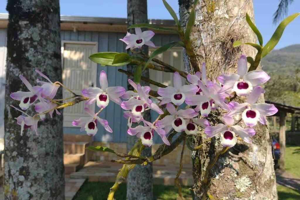 Casa Dos Ingleses Nos Canyons ปรายากรันเจ ภายนอก รูปภาพ